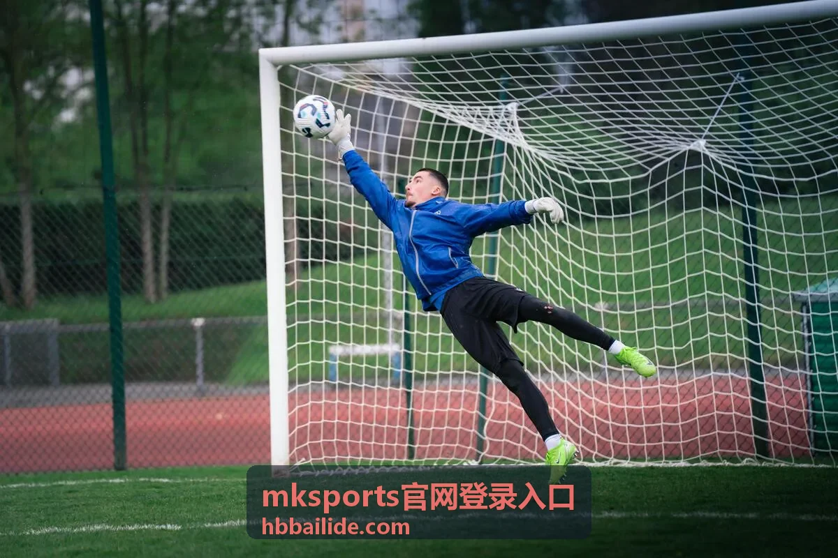 mksports官网登录入口的登录入口指引示意图