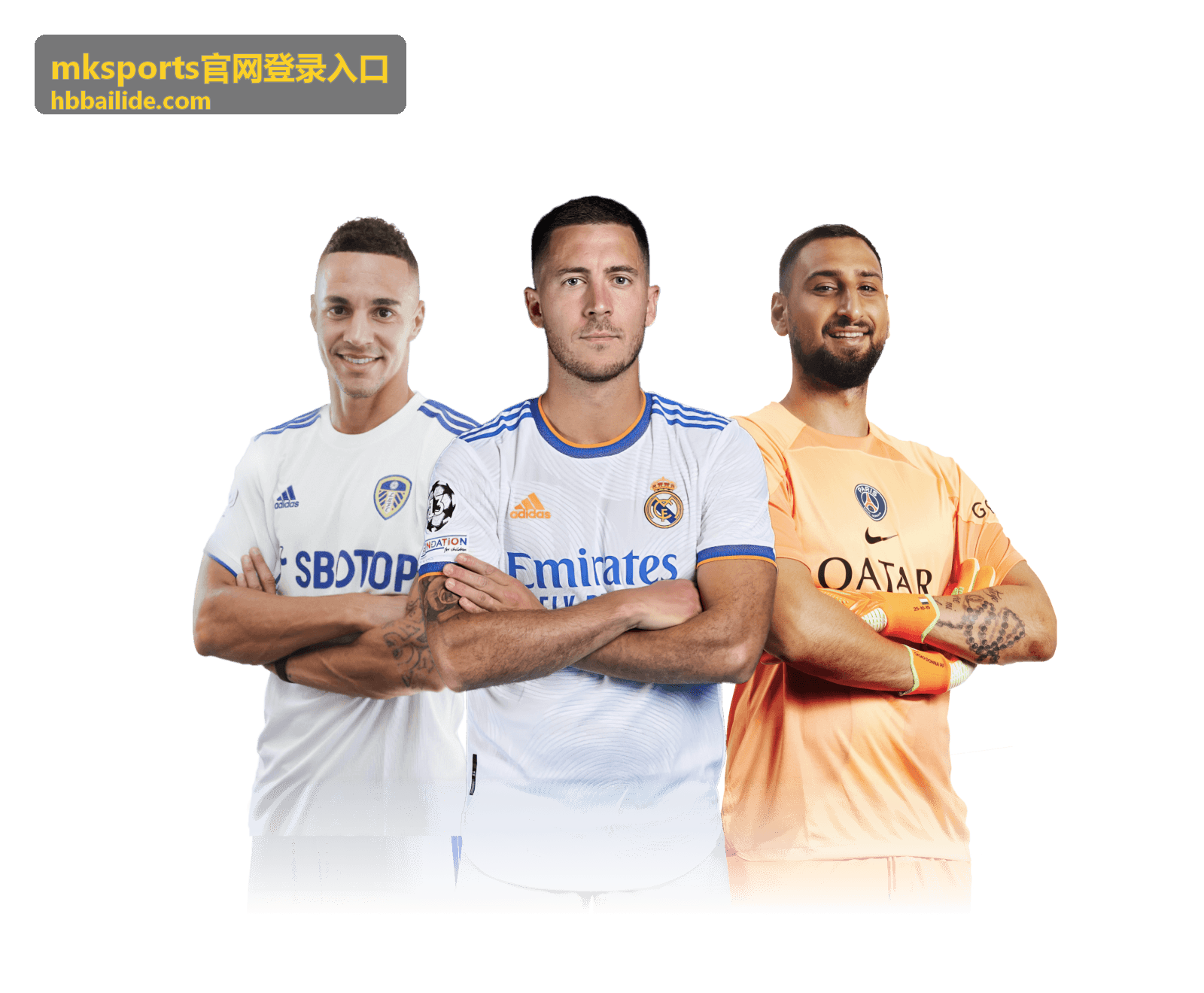 mksports官网登录入口的账号与安全校验说明配图