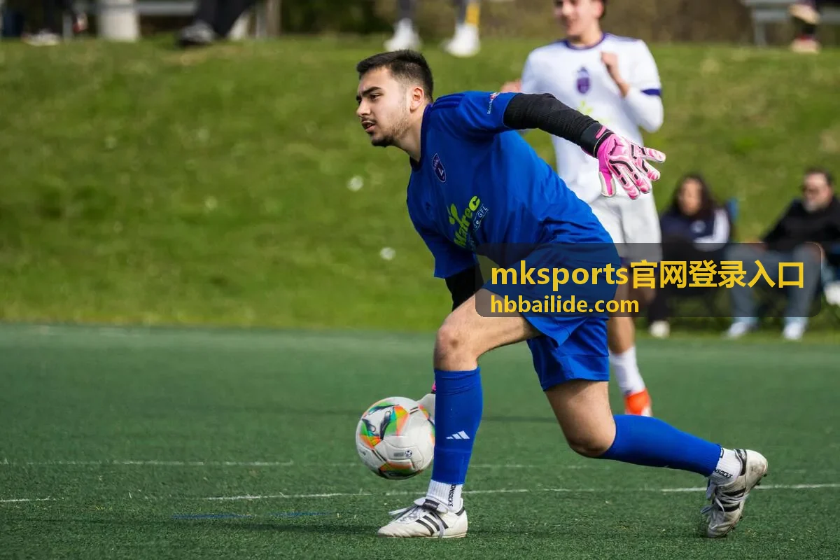mksports官网登录入口在高分辨率屏幕上的清晰度表现